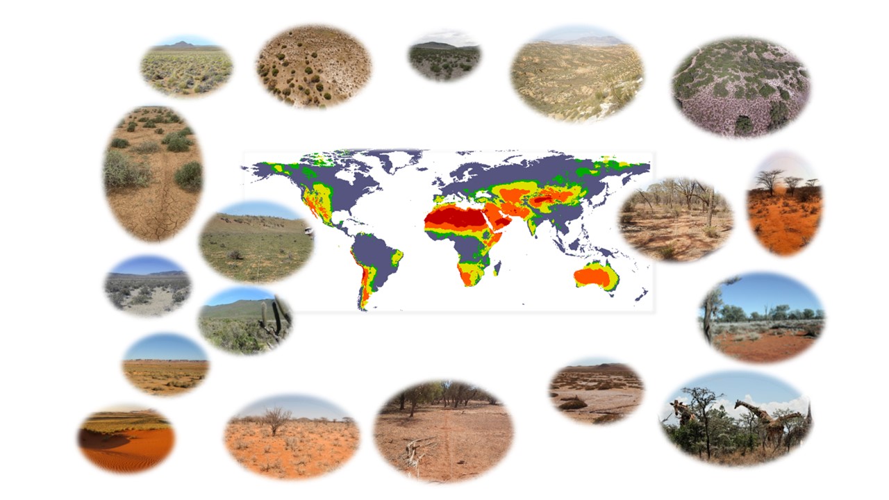 INERTIA - Global Initiative of Sustainable Agriculture and Environment